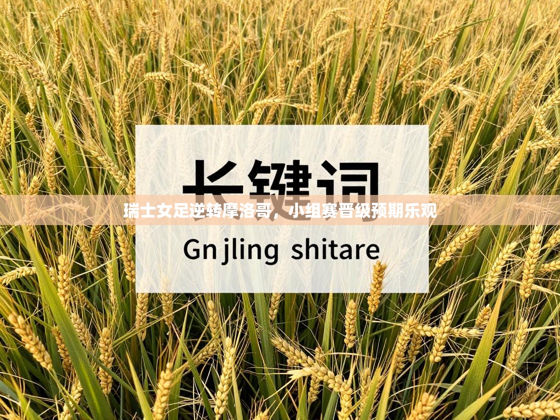 瑞士女足逆转摩洛哥，小组赛晋级预期乐观  第1张