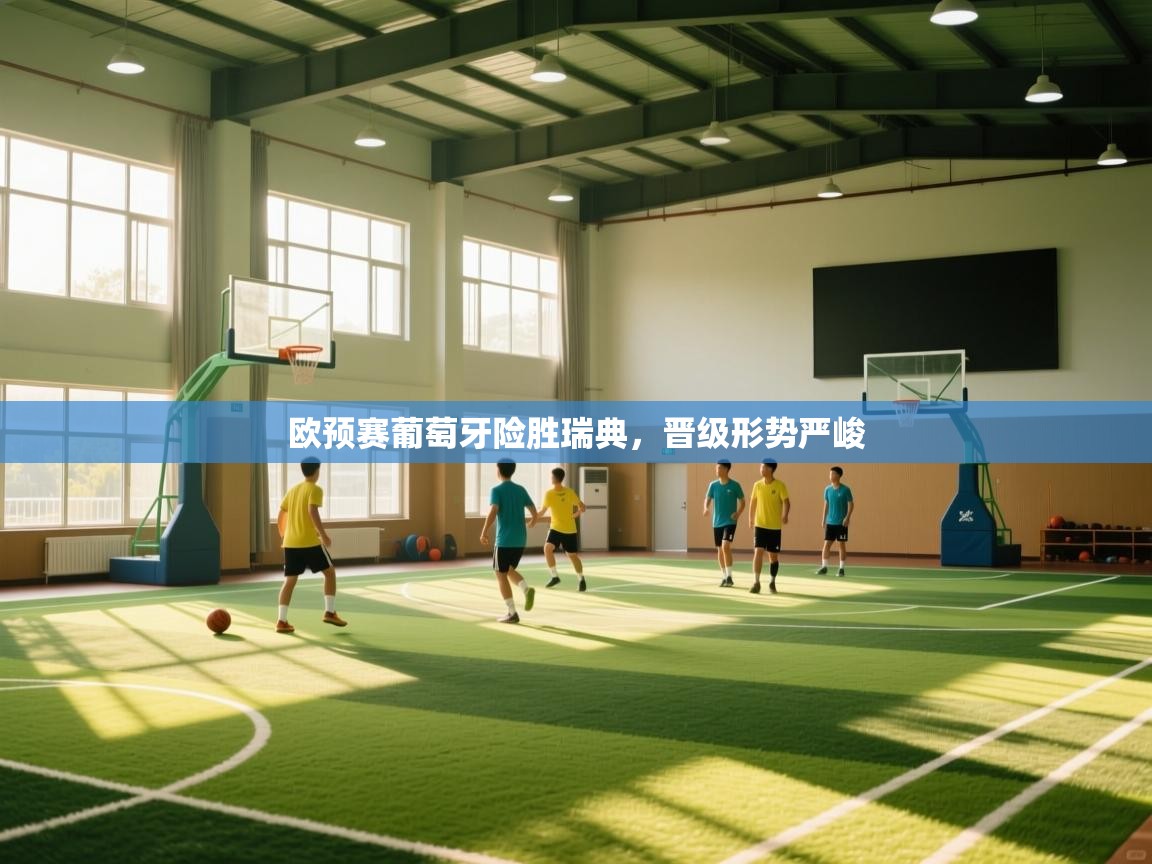 欧预赛葡萄牙险胜瑞典，晋级形势严峻  第1张