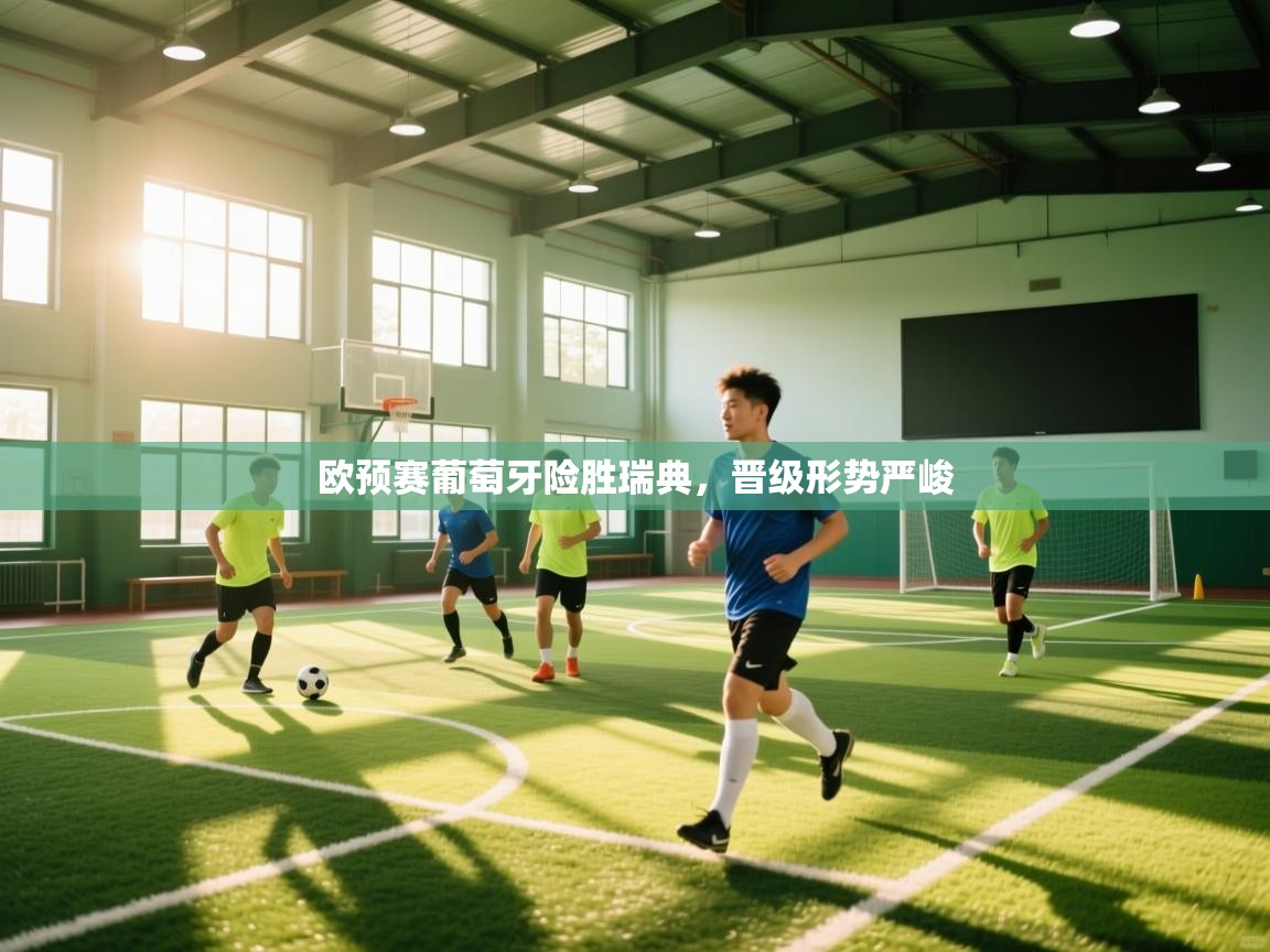 欧预赛葡萄牙险胜瑞典，晋级形势严峻  第2张