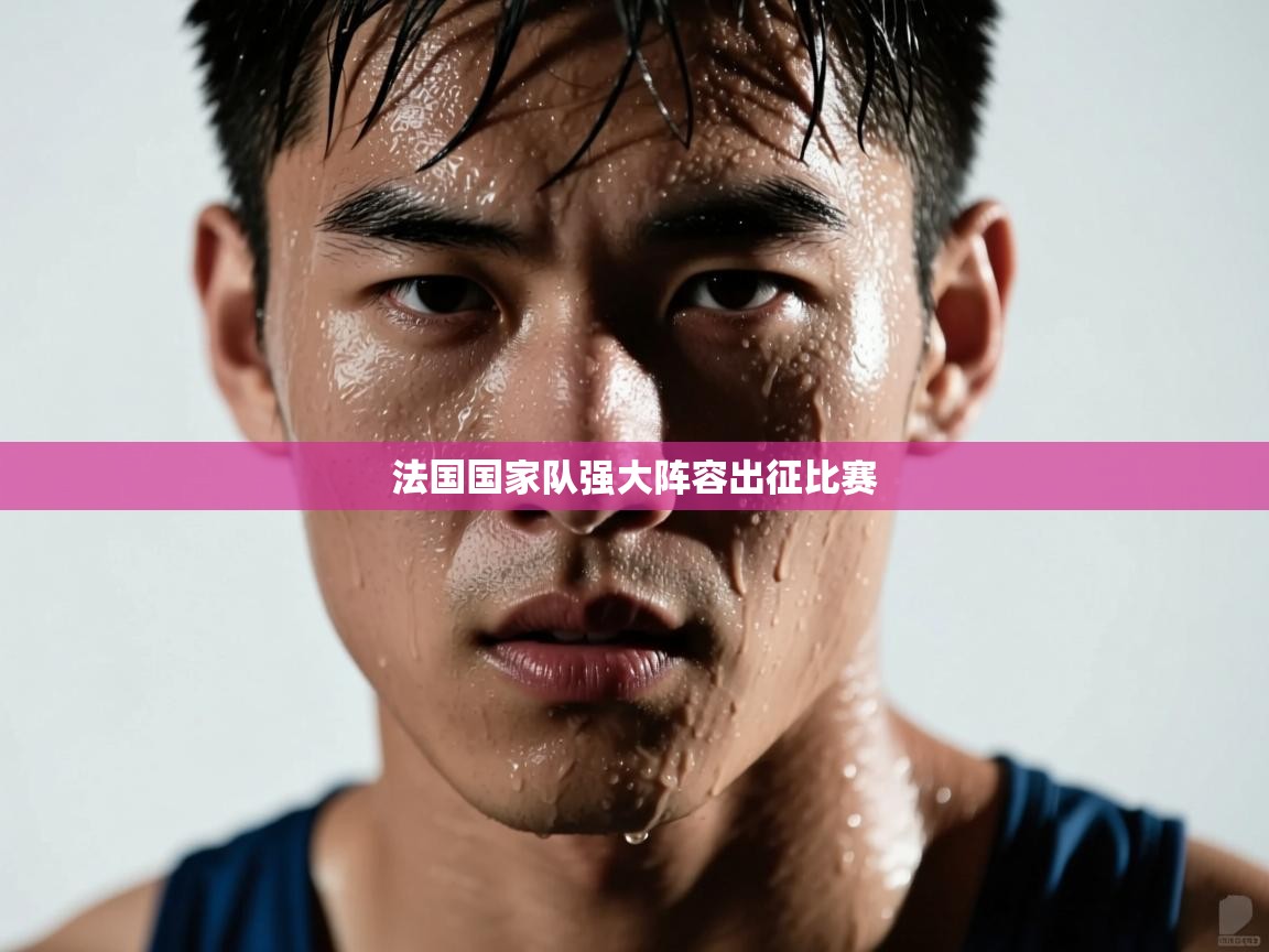 法国国家队强大阵容出征比赛  第2张