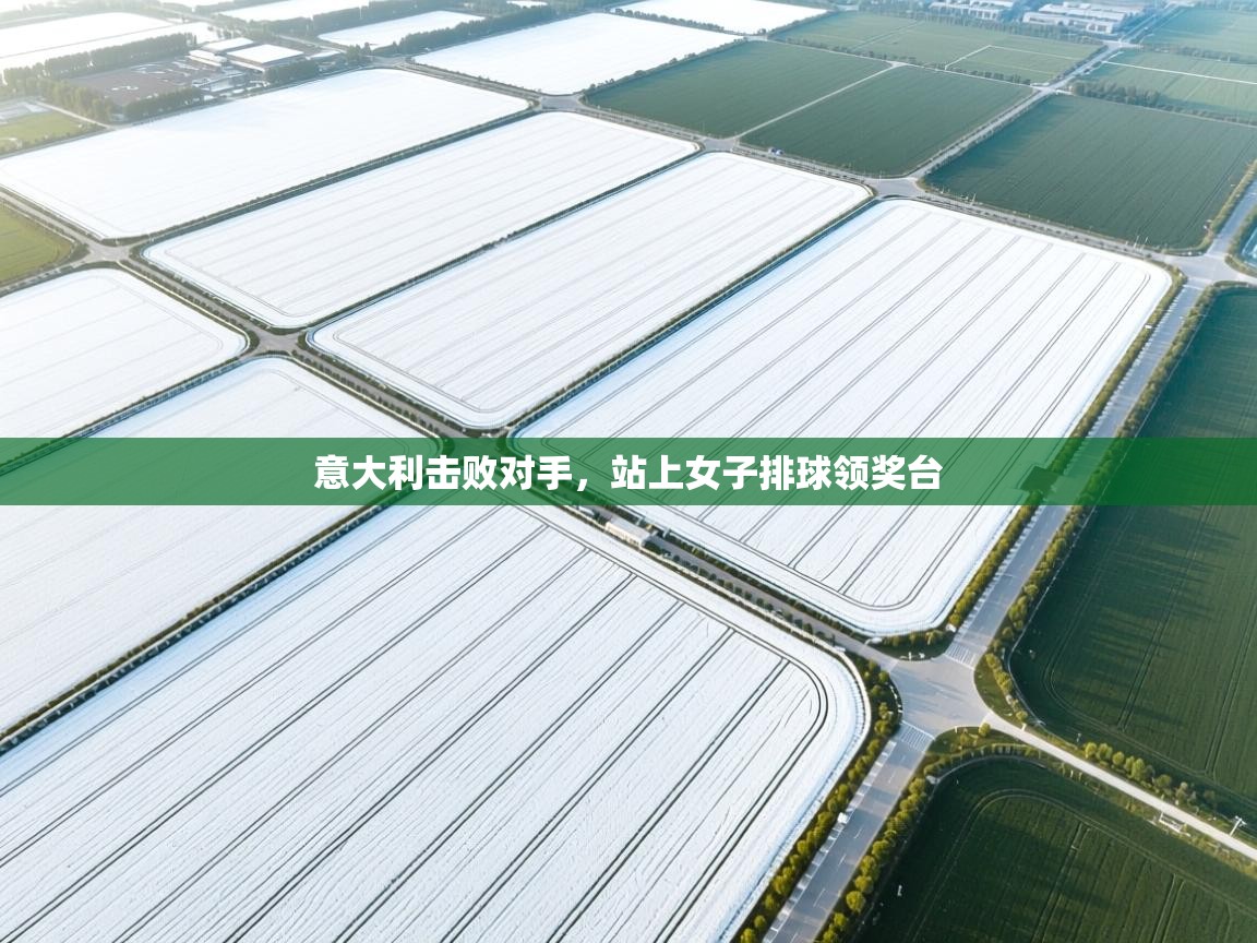 意大利击败对手，站上女子排球领奖台  第1张